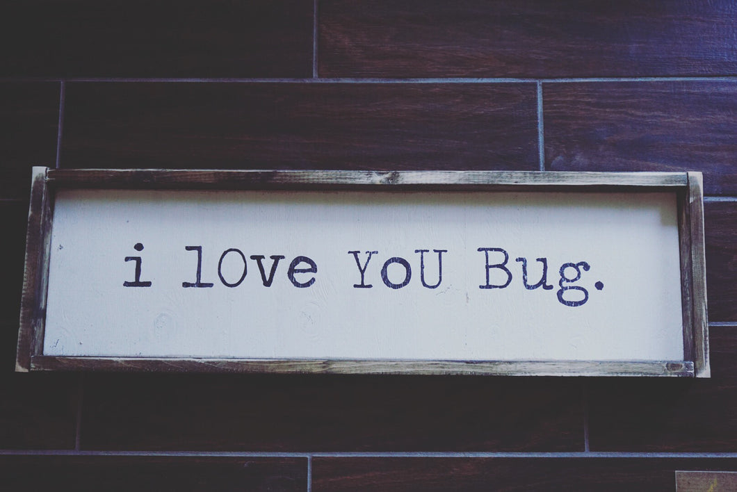 I Love You Bug