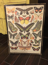 Butterflies Paper Sign