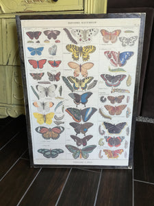 Butterflies Paper Sign