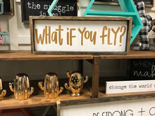What If You Fly?